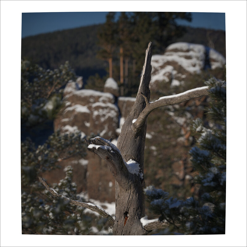 * - Александр Иванов