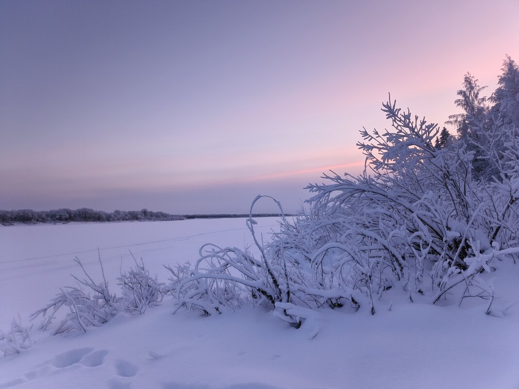 Морозные закаты Пинежья - Ольга Чистякова