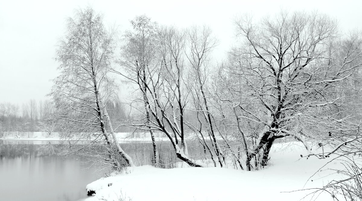 Зимний пейзаж - жанна нечаева