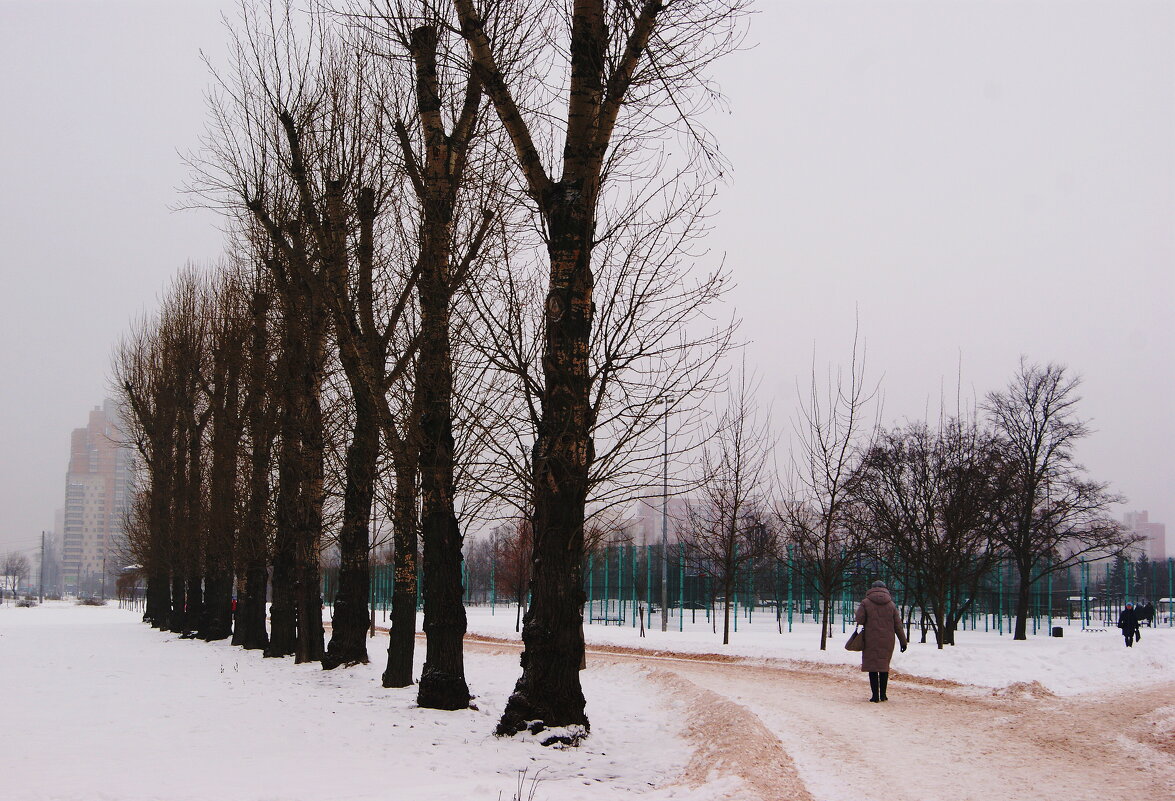 АЛЛЕЯ - Виктор Никитенко