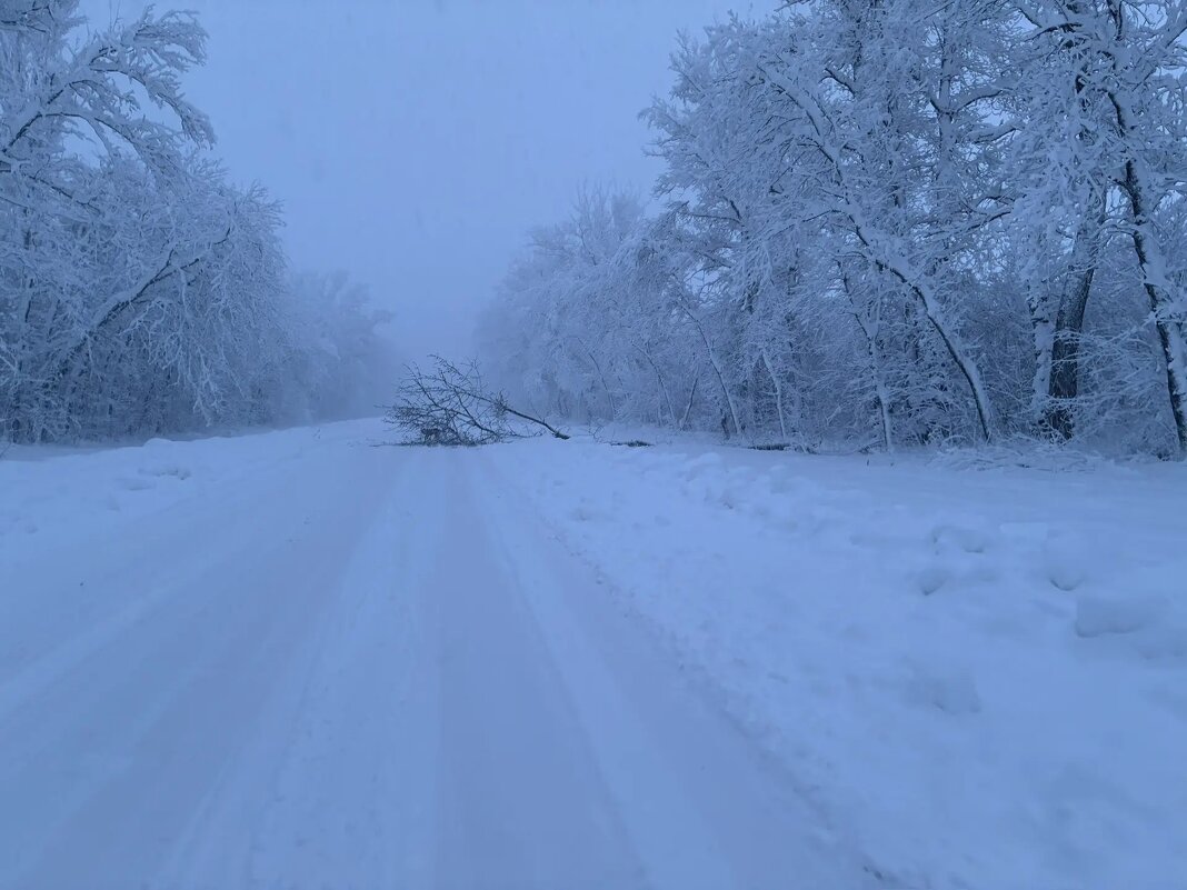 Адыгея. Никогда не было, и вот опять! - Сергей Запорожцев