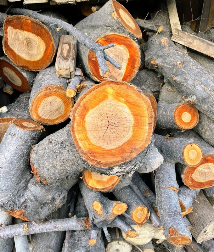 Дровишки - Георгиевич 