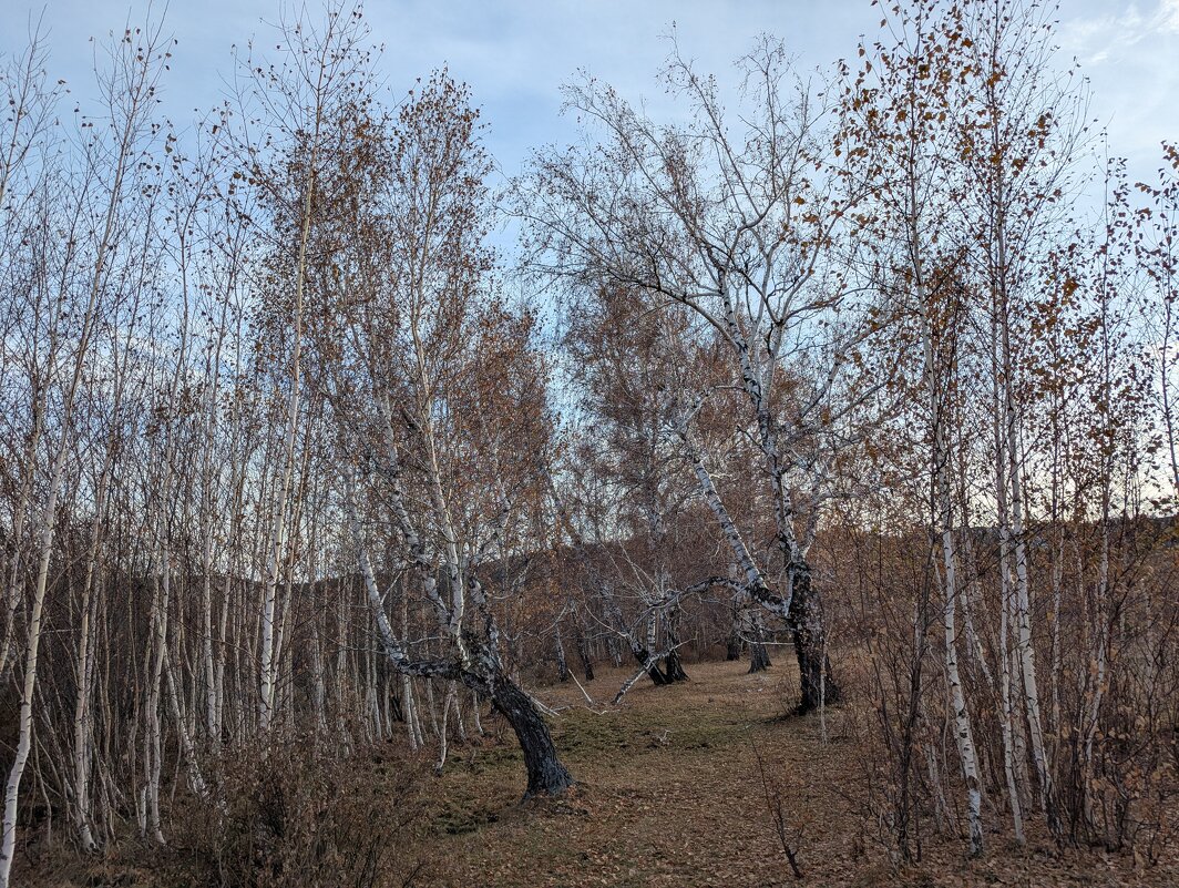 Осень в Каркаралах - Андрей Хлопонин