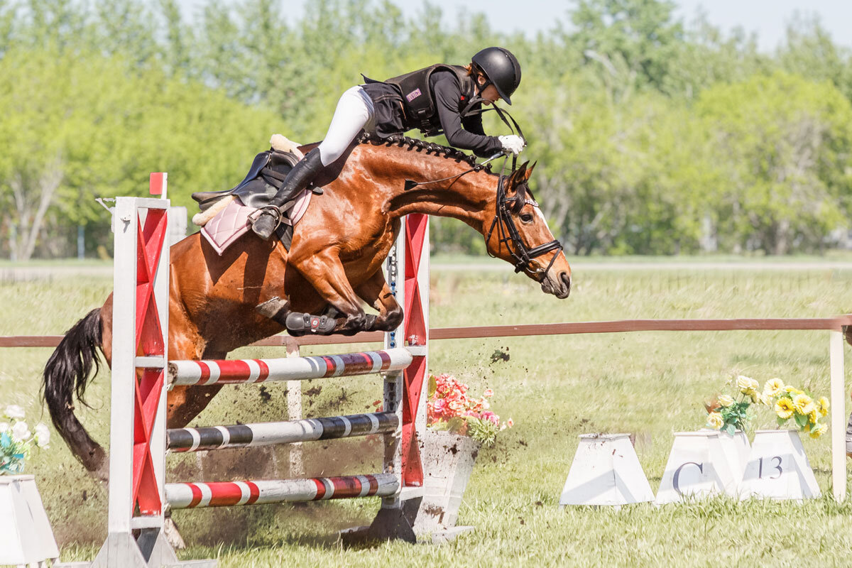 Конкур - SanSan 