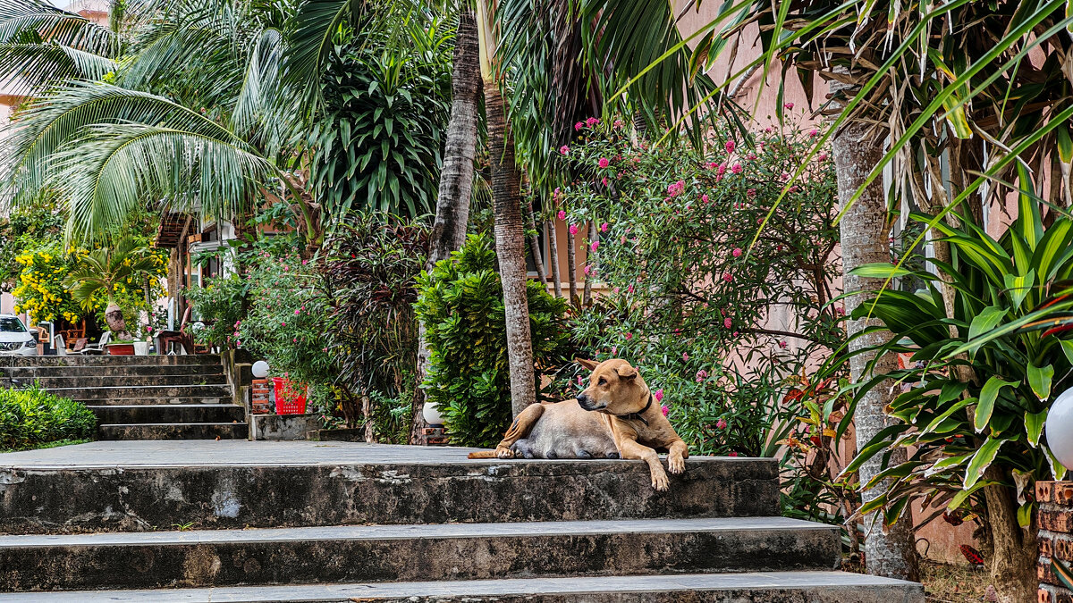 Жарко - Dmitry i Mary S