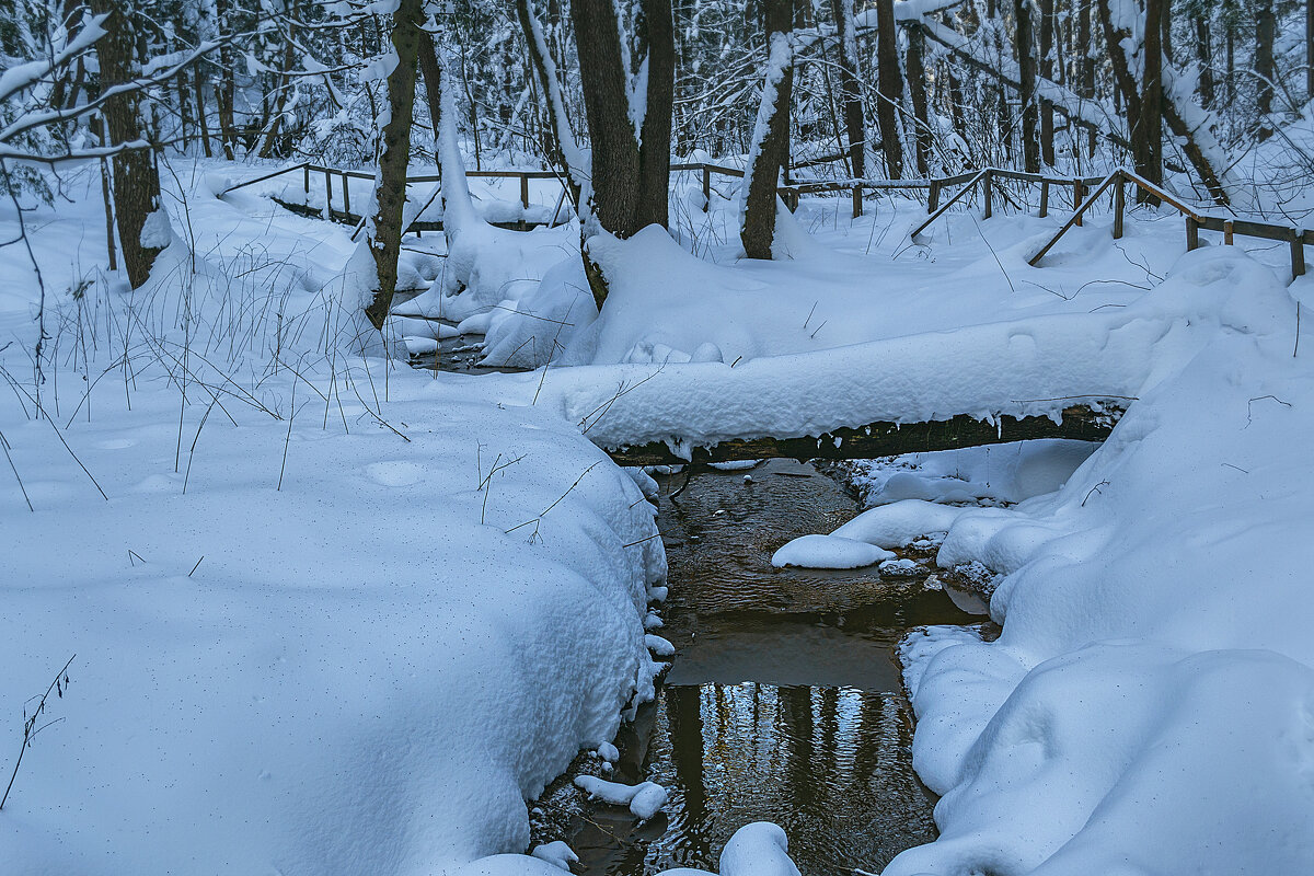 Лесной ручей - Сергей Цветков