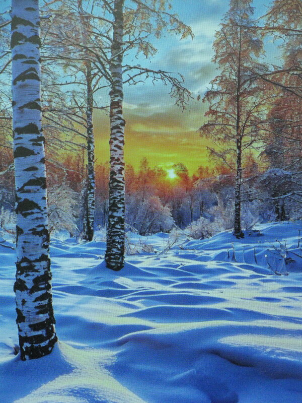 В солнечный денёк - Людмила Смородинская