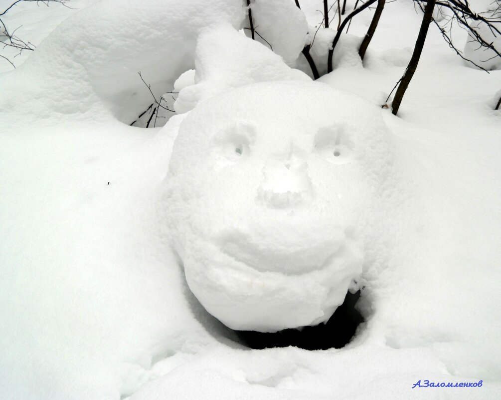 Из жизни снежариков...:-) - Андрей Заломленков