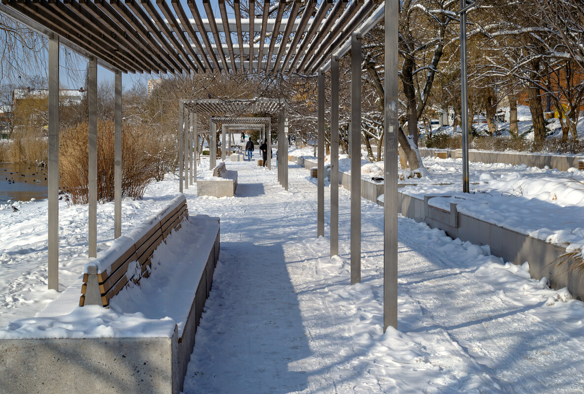 *** - Игорь Протасов