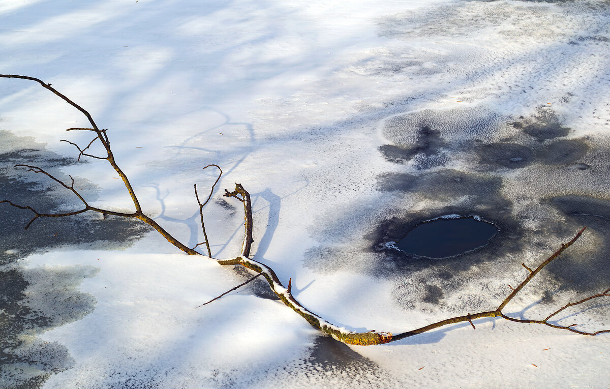 *** - Игорь Протасов