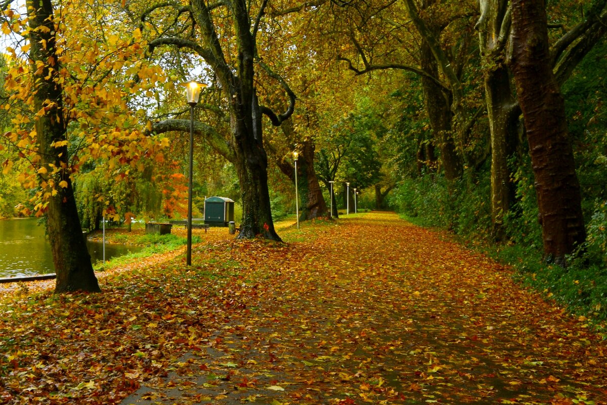 Один день осени - Юрий. Шмаков