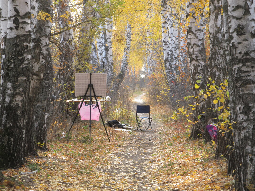 пленэр в берёзовой аллее - Елена Шаламова