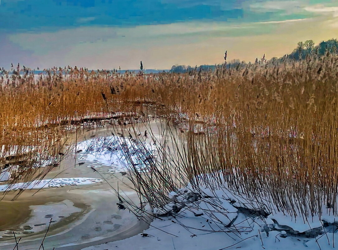 Winter 2026 2 - Arturs Ancans