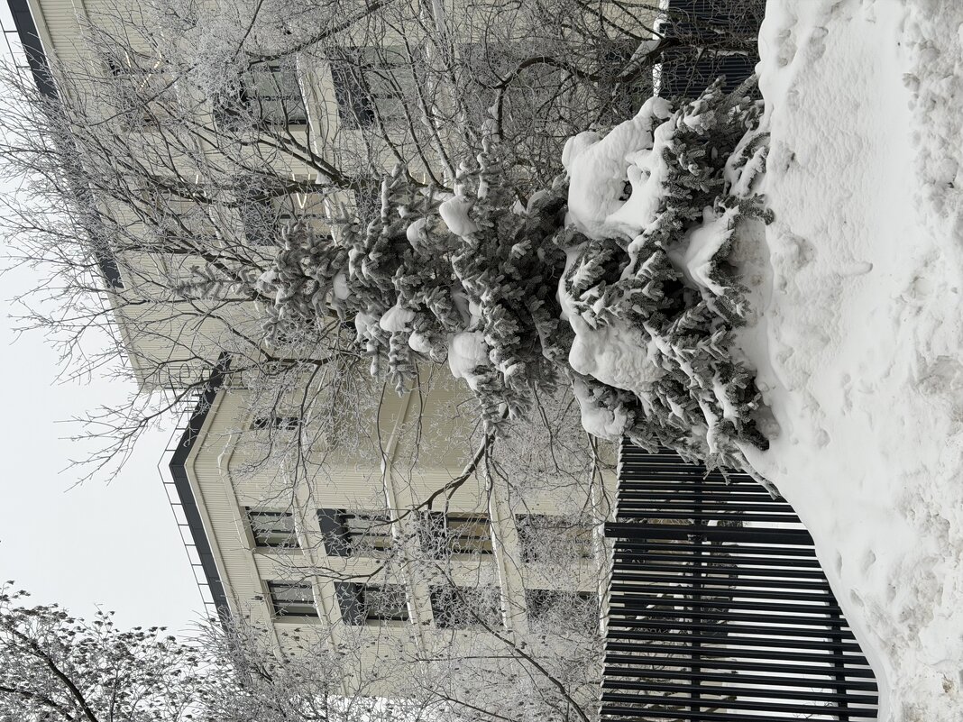 На пьедестале! - Любовь 