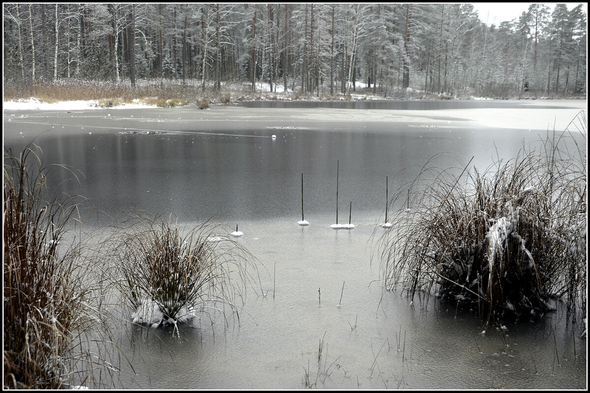Первый морозец - Aleksandr Gal