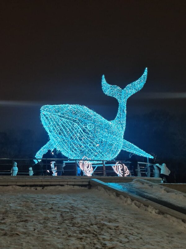 В Караганды - Динара Каймиденова