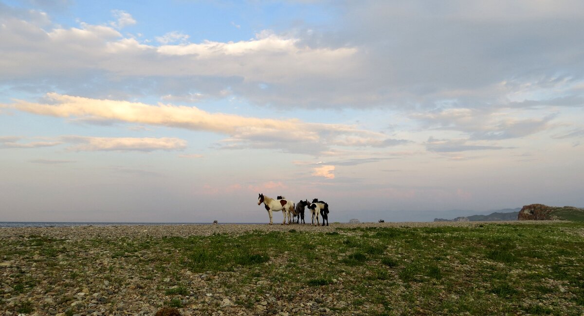 На горизонте... - Надежда Чернецкая