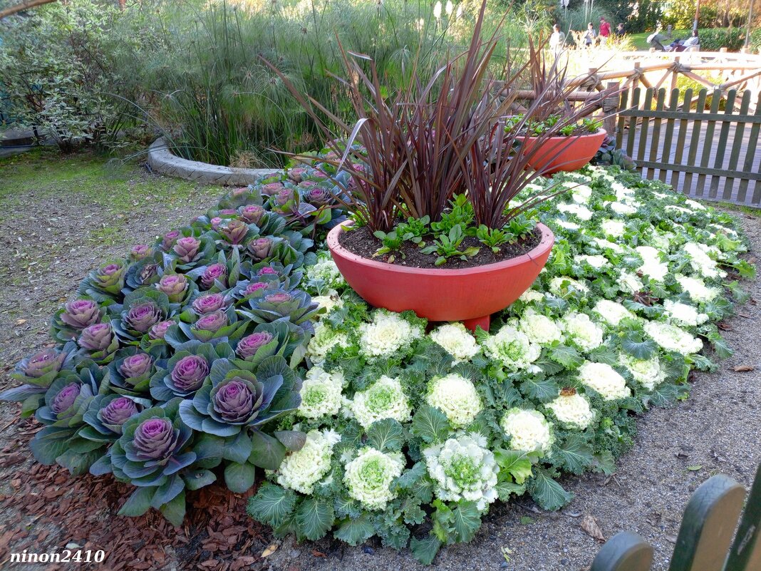 Адлер. Сочи Парк... - Нина Бутко