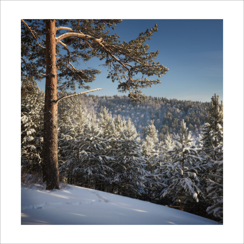 * - Александр Иванов