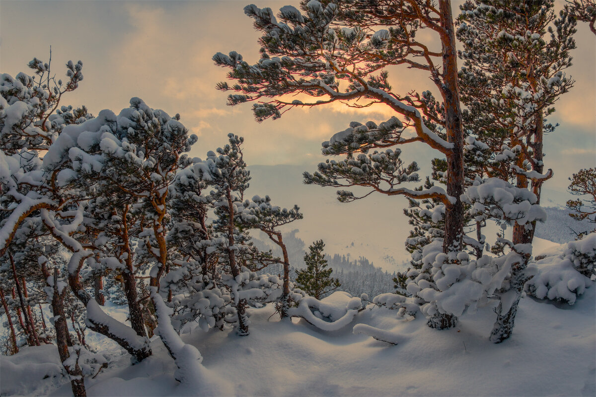 *** - Аnatoly Gaponenko