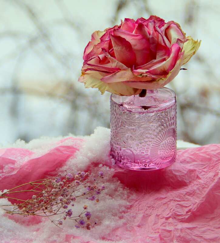 Натюрморт - жанна нечаева