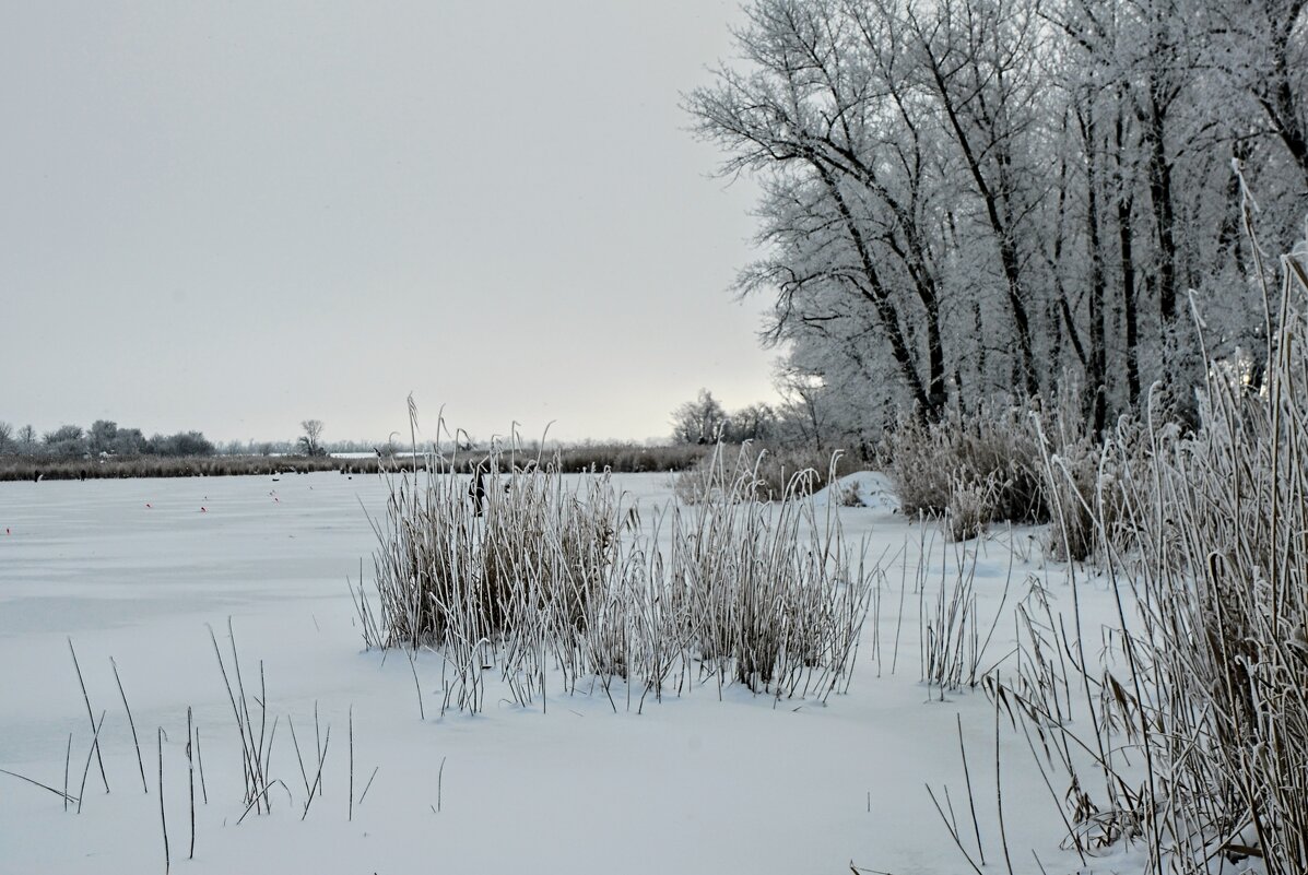 Январь. - Владимир Январь. - Владимир