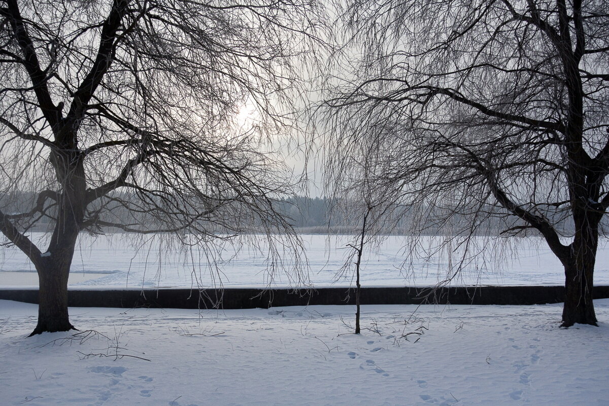 *** - Геннадий Порохов