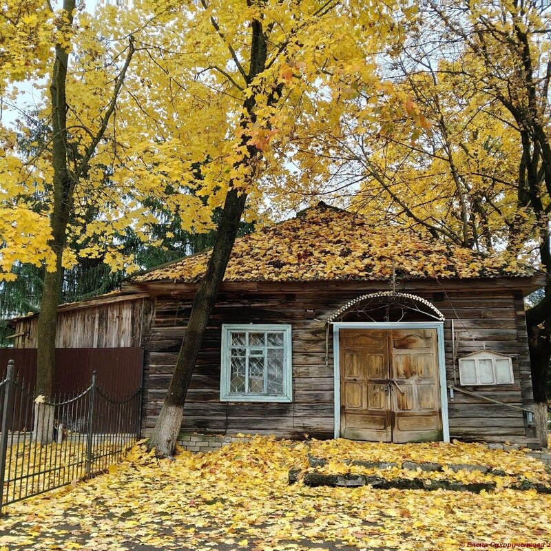Домик в осеннем наряде. - Елена Сухорученкова