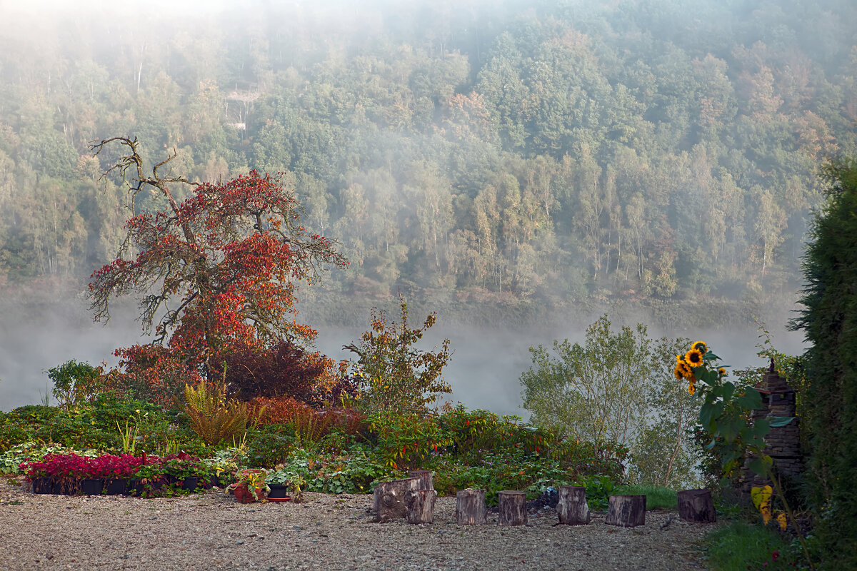 Осенний пейзаж с туманом - Valziwa Осенний пейзаж с туманом - Valziwa