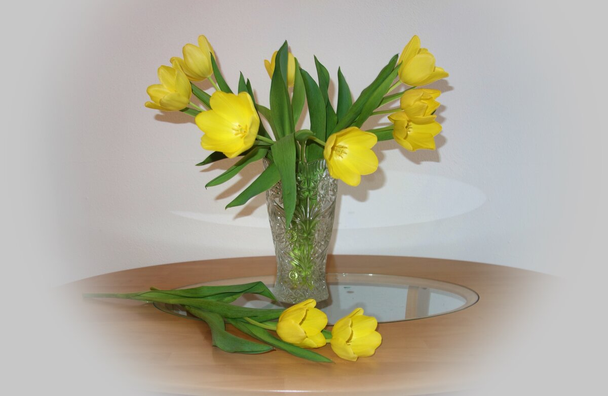 Ах, эти первые тюльпаны!.. - Галина Ах, эти первые тюльпаны!.. - Галина