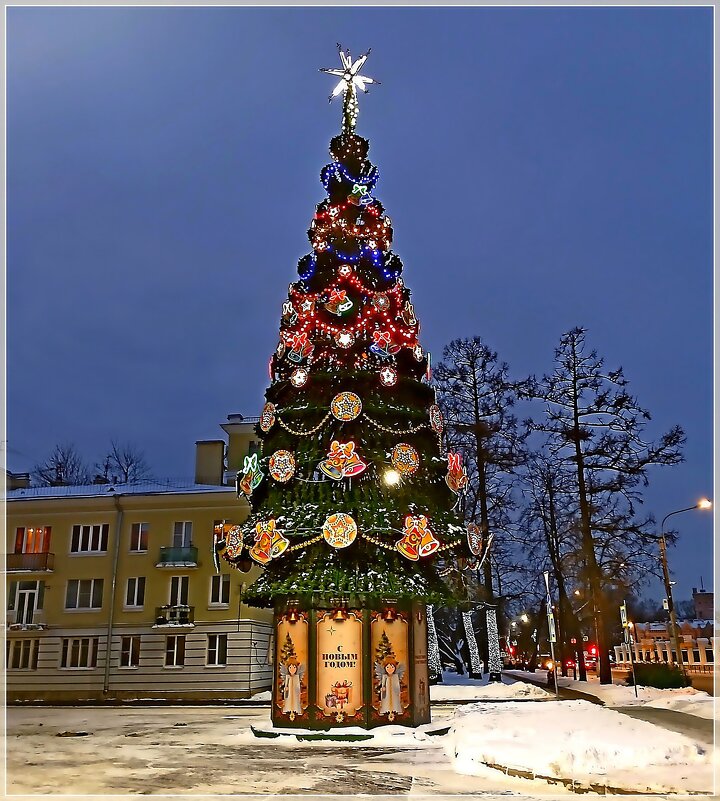 Прощай ёлка ! - Лия ☼ Прощай ёлка ! - Лия ☼