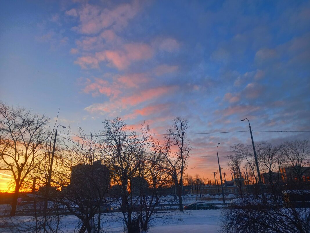 Рассвет - Сапсан 