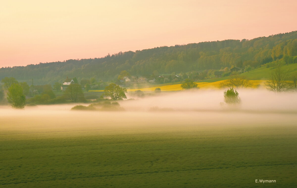 misty spring - Elena Wymann misty spring - Elena Wymann