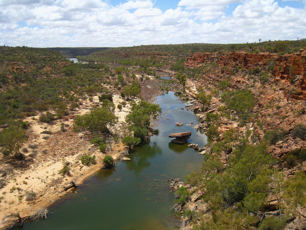 Каньон реки Мерчисон, Австралия. - unix (Илья Утропов) Каньон реки Мерчисон, Австралия. - unix (Илья Утропов)