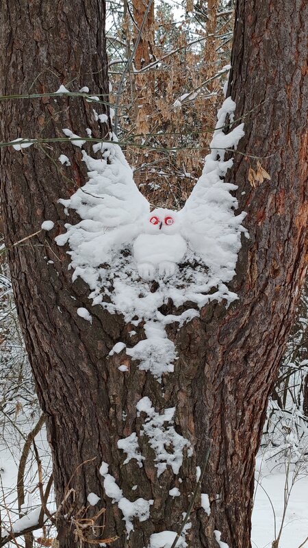 Снежный филин - nika555nika Ирина