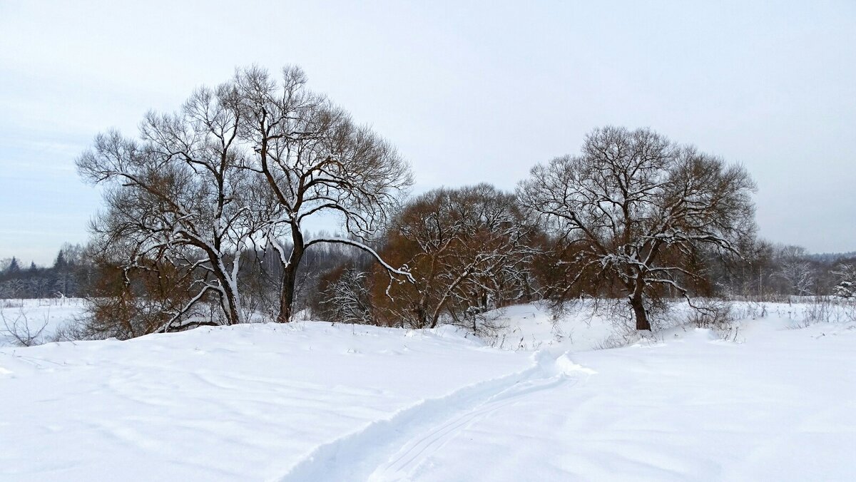 Картинка зимы. - Милешкин Владимир Алексеевич 