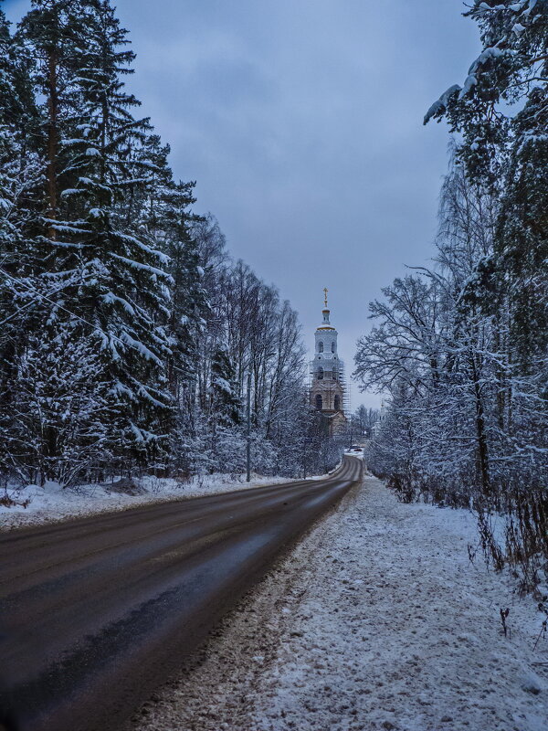 Зимняя дорога - Наталья Rosenwasser
