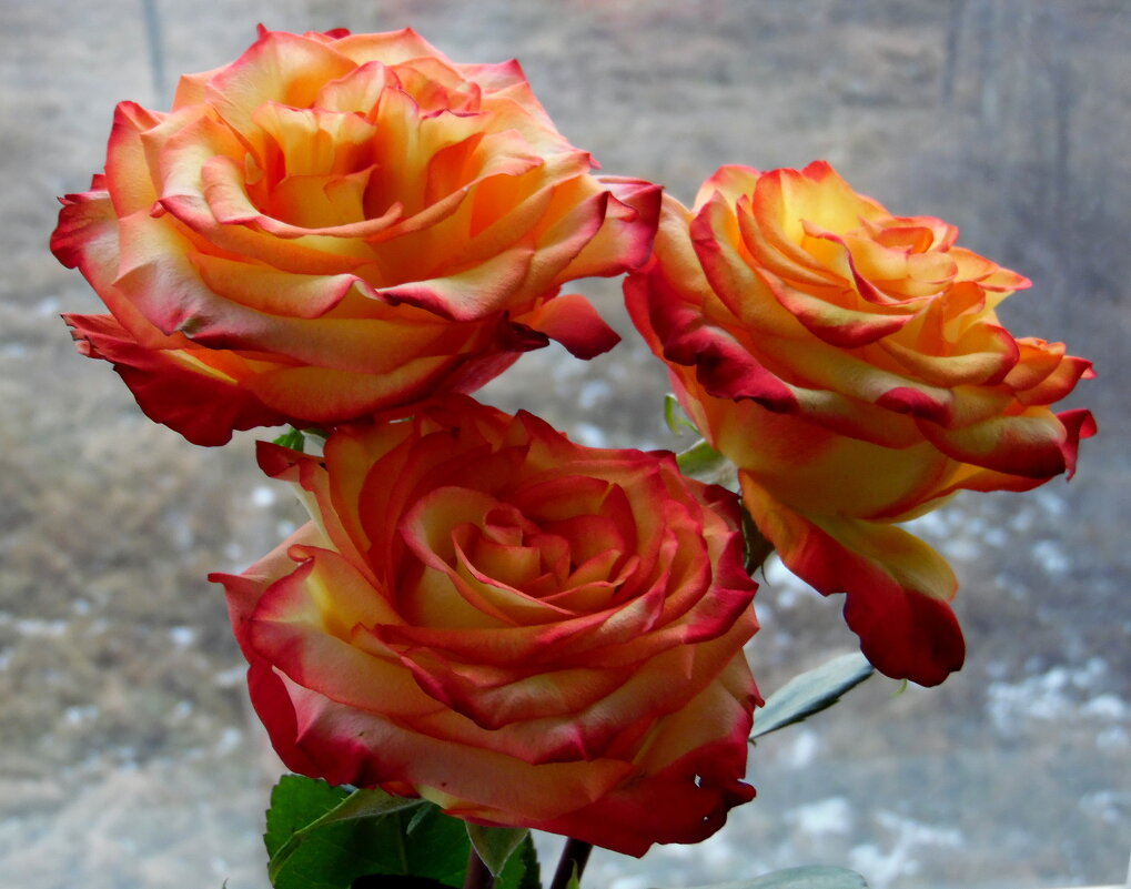 А за окном-зима. - nadyasilyuk Вознюк А за окном-зима. - nadyasilyuk Вознюк