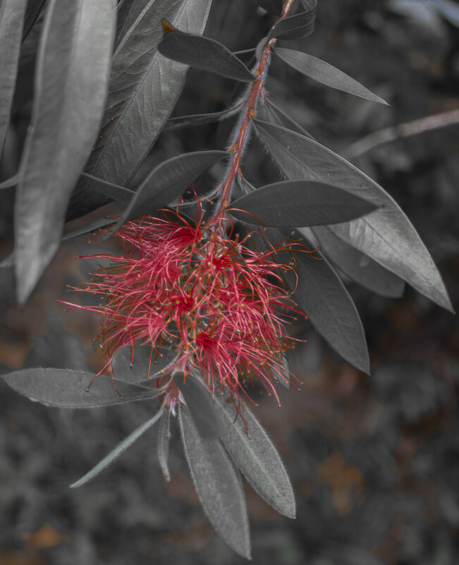 Без названия - Андрей C