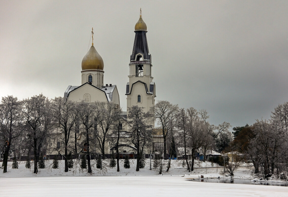 Сестррецк - skijumper Иванов Сестррецк - skijumper Иванов