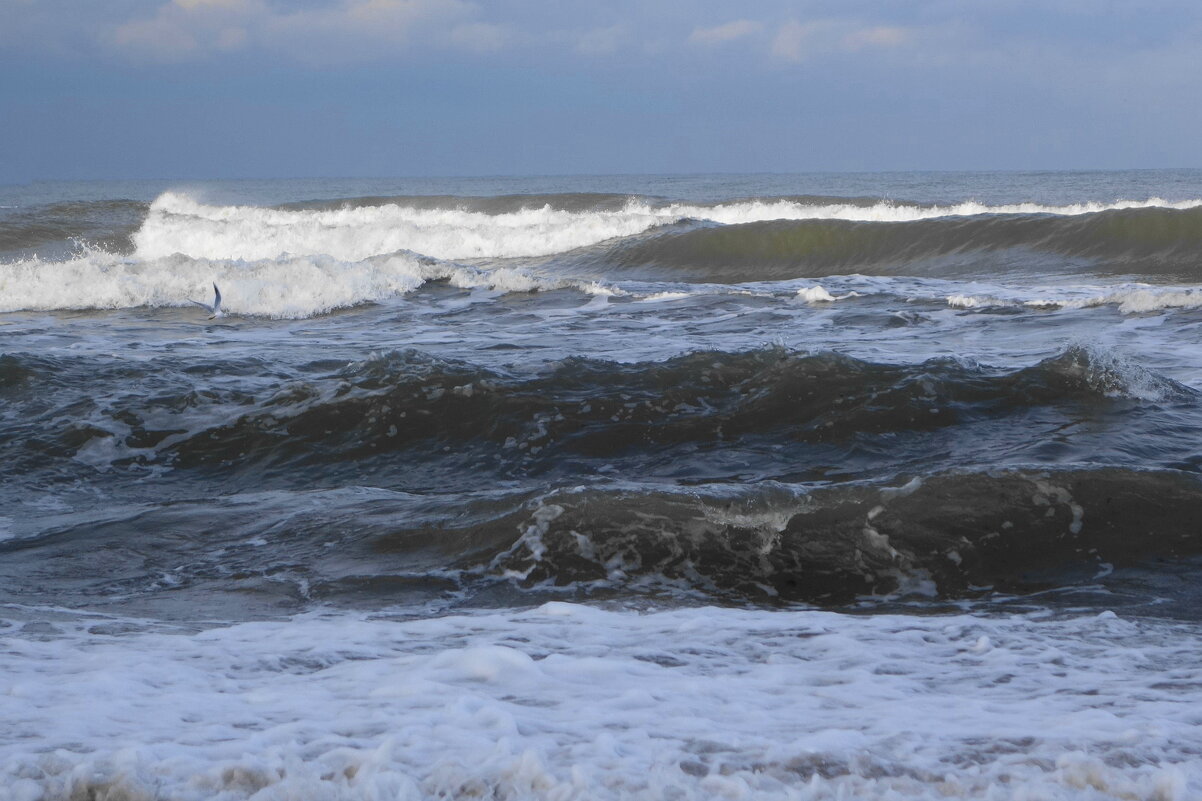 Балтийское море - Рита Симонова
