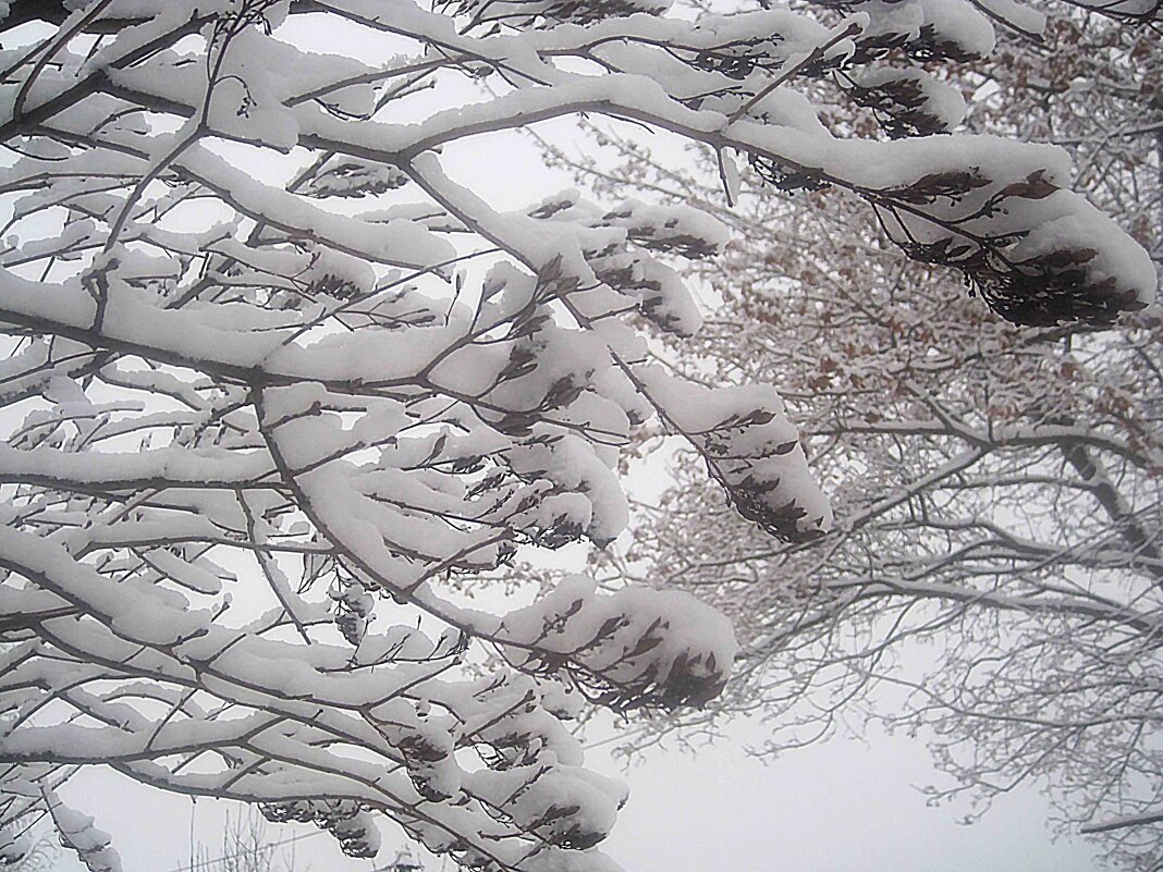 Зимнее - Елена Семигина