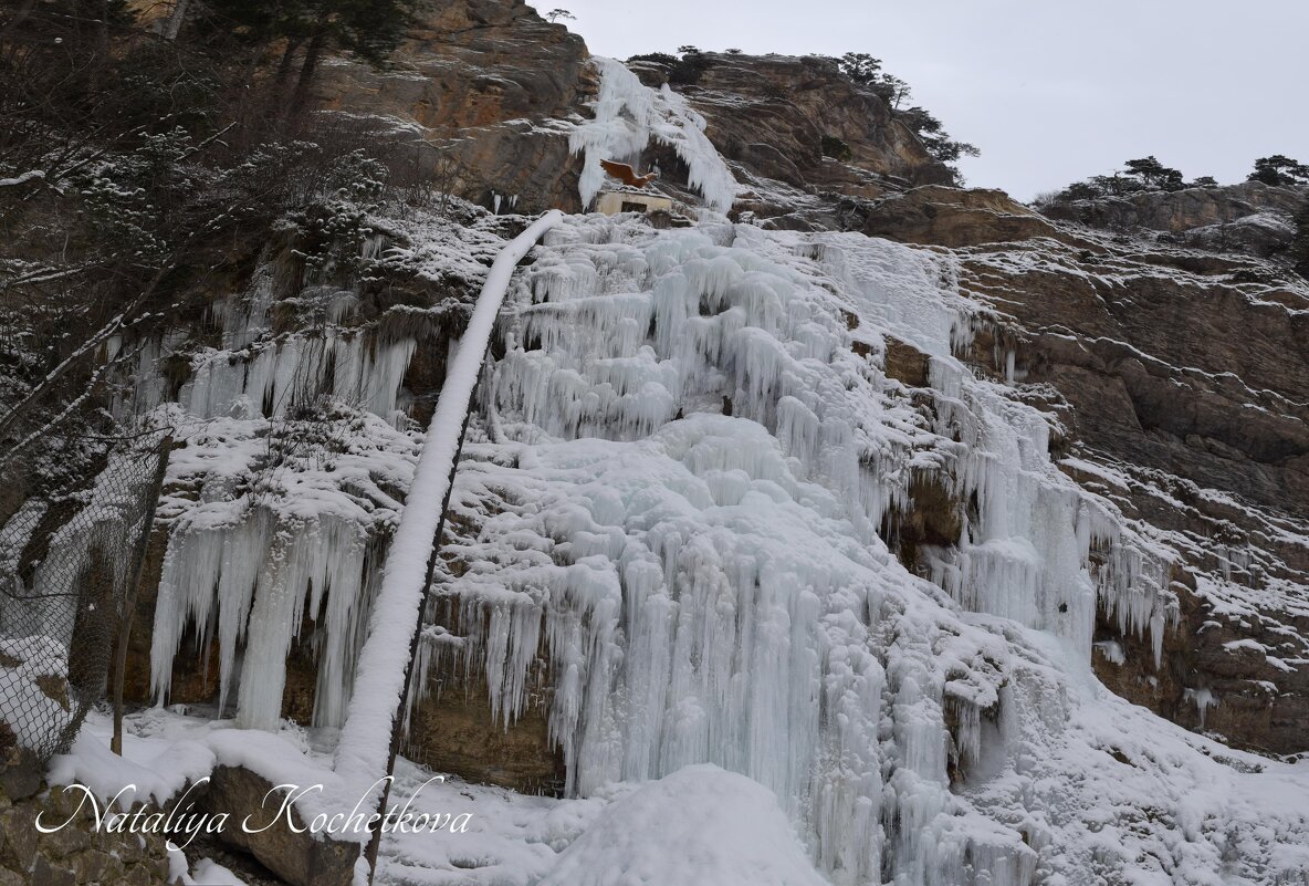 Природа Крыма - Amazing Cosmea Природа Крыма - Amazing Cosmea