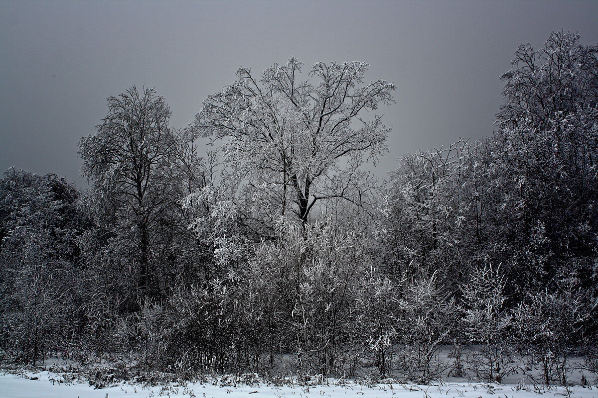 Зимний вечер - MILAV V