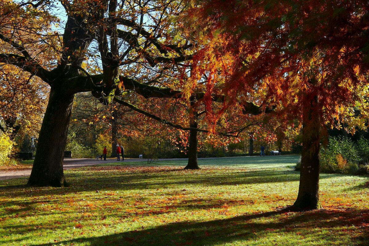 Осенний день в парке - Юрий. Шмаков Осенний день в парке - Юрий. Шмаков