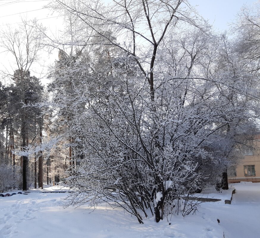 Вот и новый год ... - Галина Минчук Вот и новый год ... - Галина Минчук