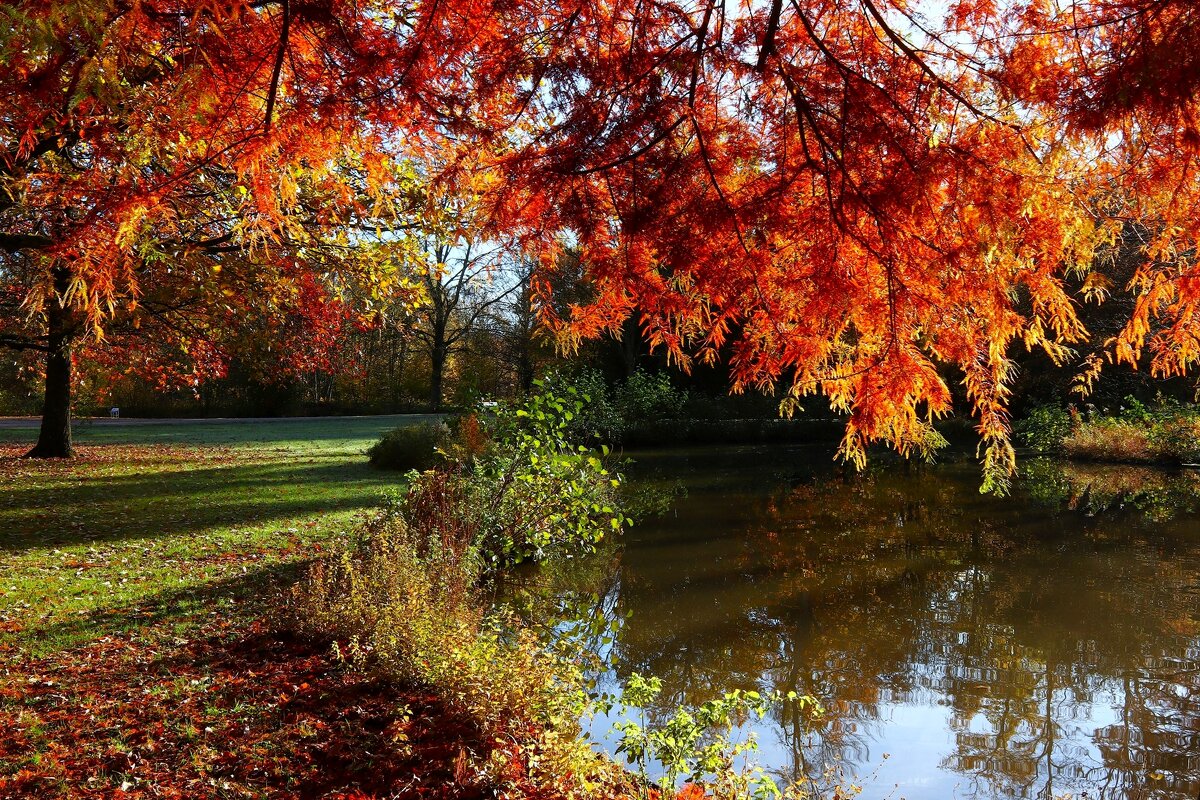 Там, в ноябре... - Юрий. Шмаков