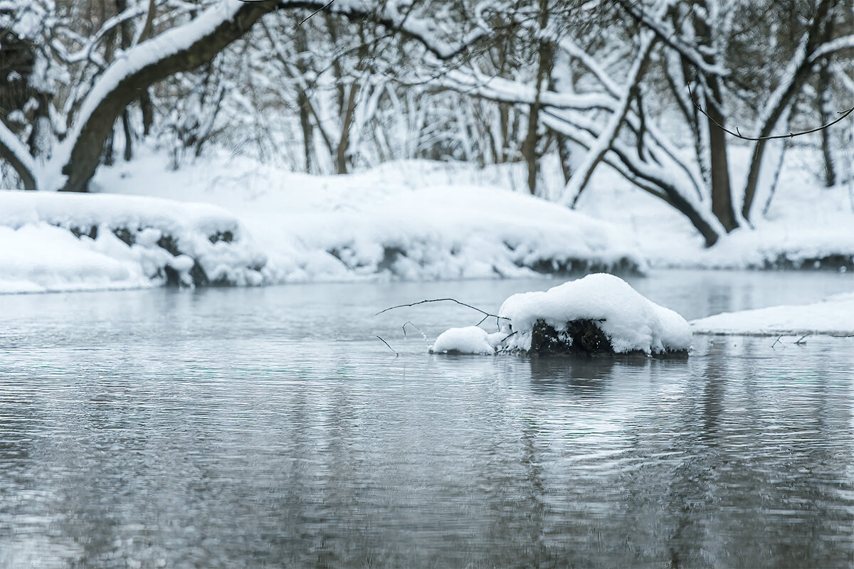Зарисовки у реки - Michel 