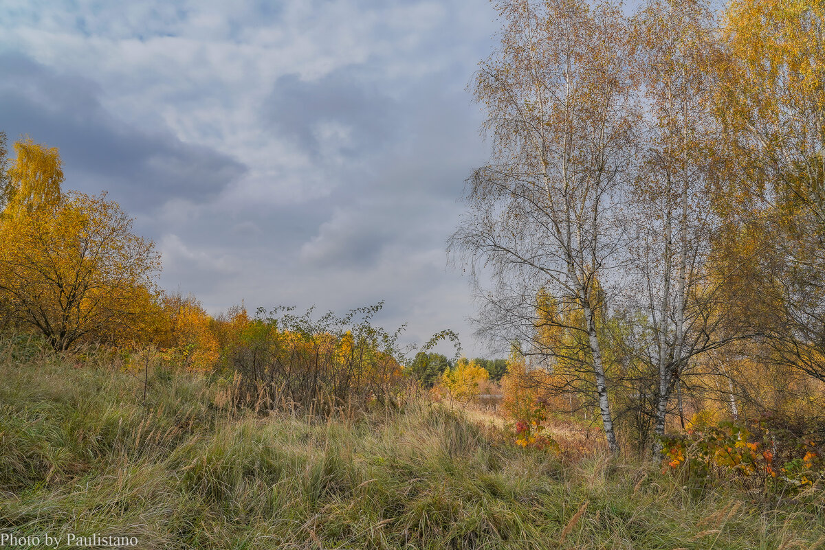Палитра октября... - Владимир Жданов Палитра октября... - Владимир Жданов