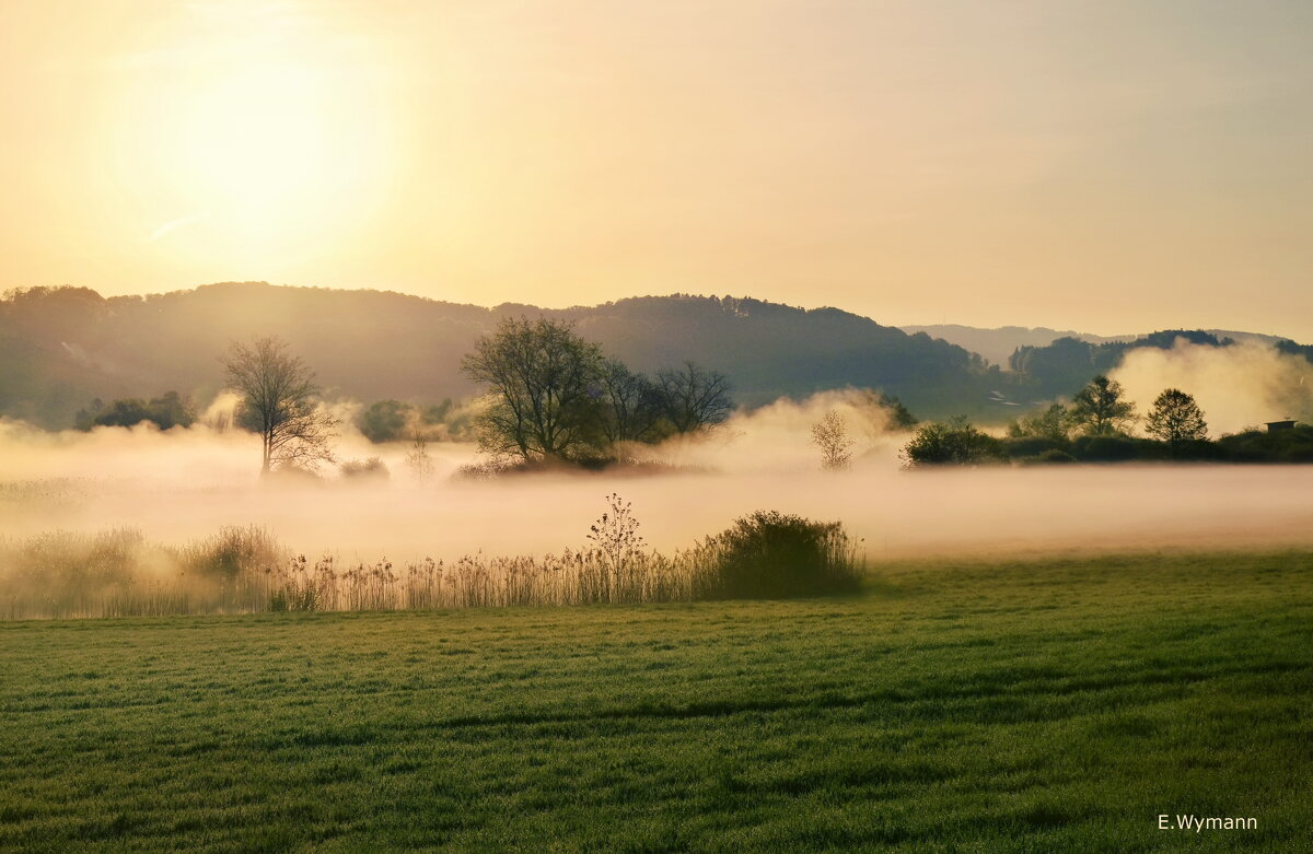 misty morning - Elena Wymann